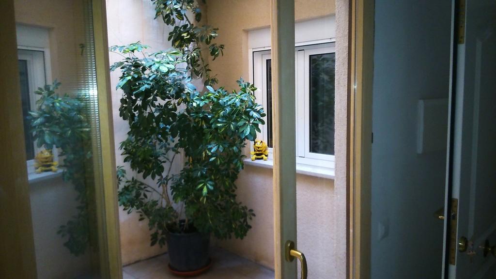 Apartments Luna 19 Alcañiz Екстериор снимка
